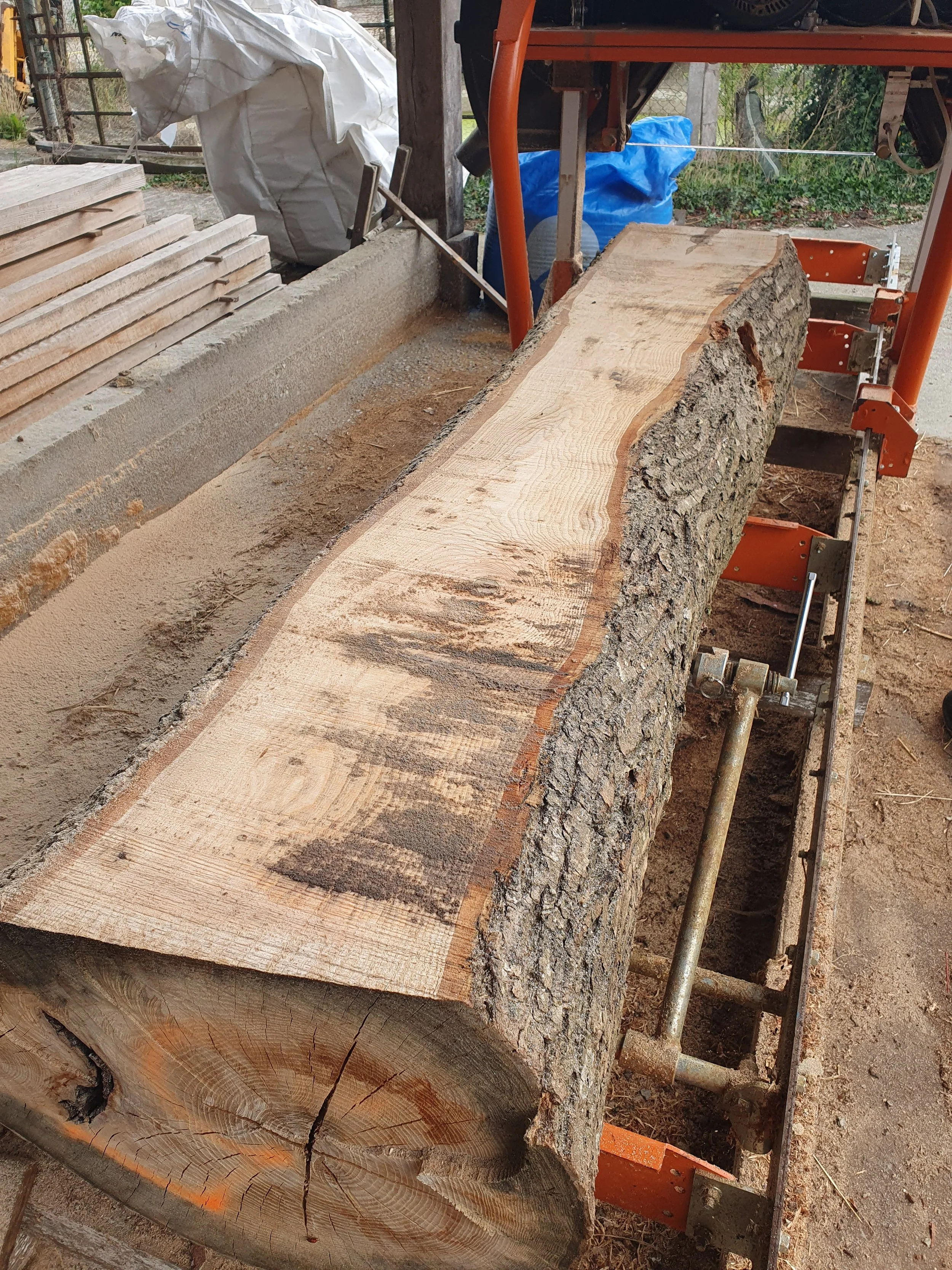 Prix du chêne au m3 (et autres essences FR) : guide complet