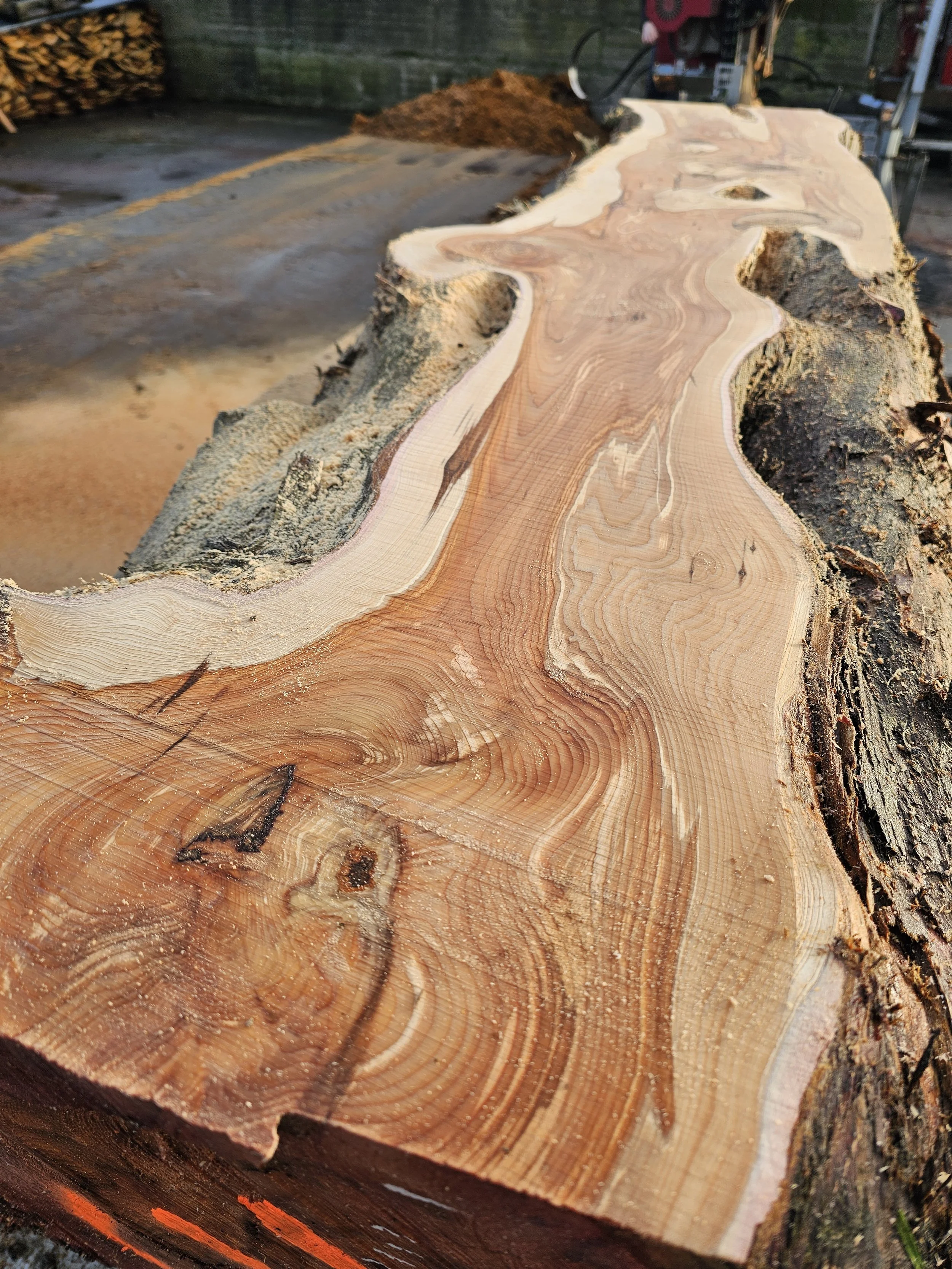 Bois précieux : découvrez un trésor de choix chez Boud'bOis