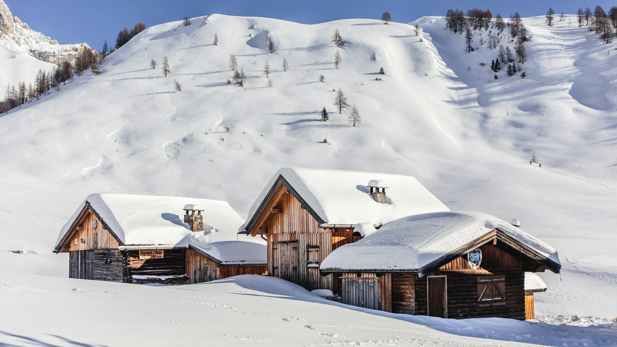 Pourquoi choisir le bois massif pour vos projets : guide complet — Boud ...
