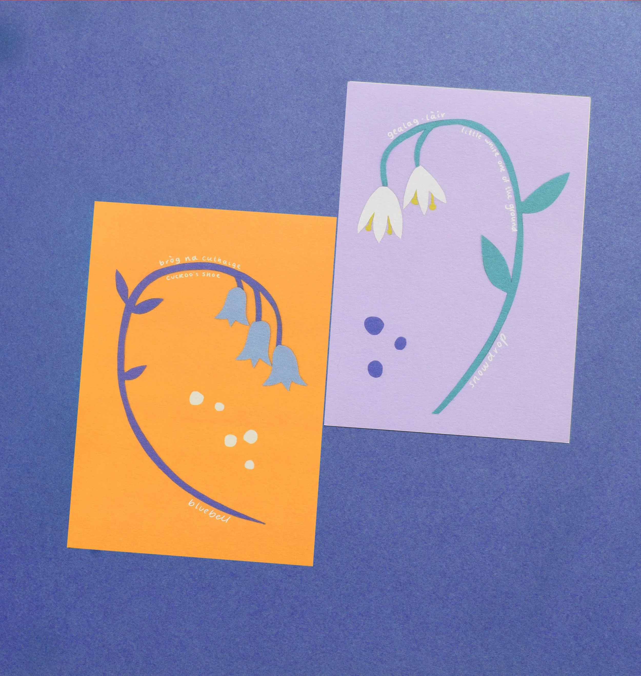 Wildflower Prints Bundle