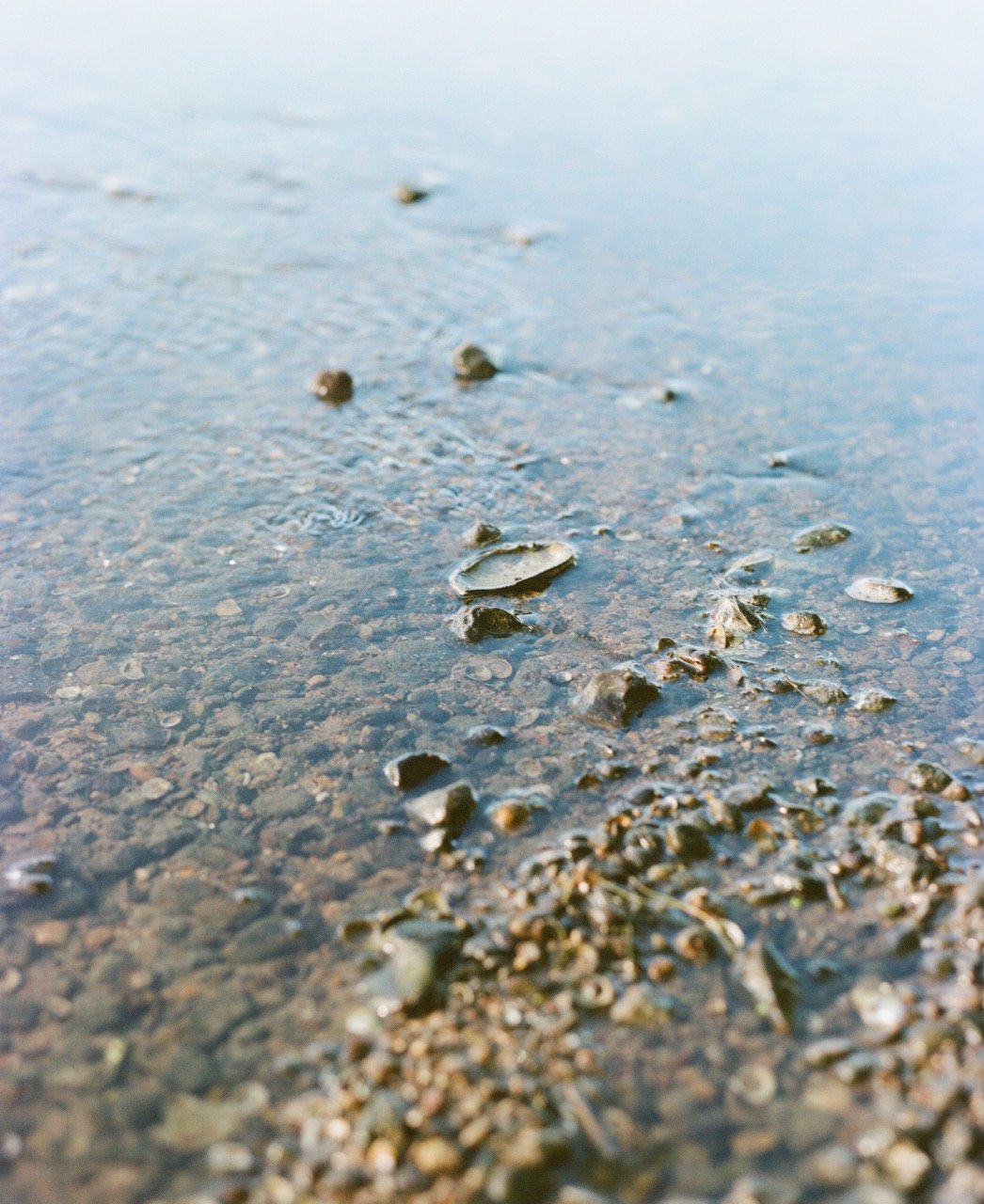 Portra 400 120-7 Large.jpeg