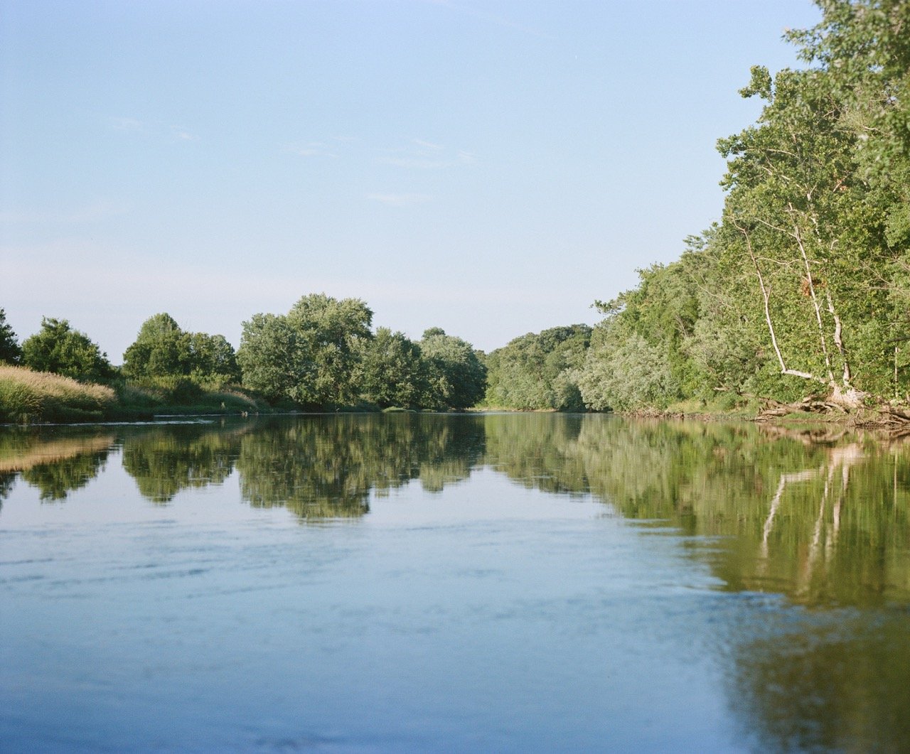 Portra 400 120-8 Large.jpeg