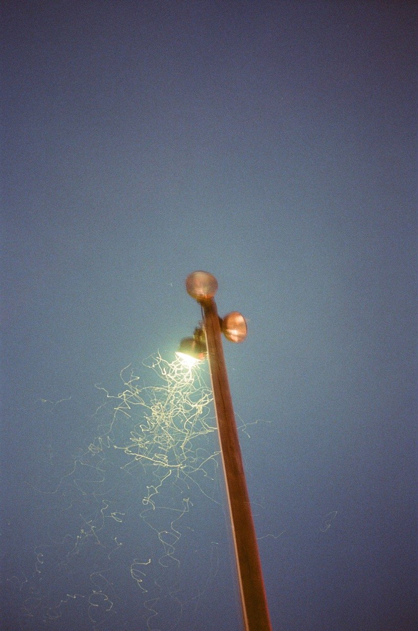 Lomo 400 35mm 2-17 Large.jpeg