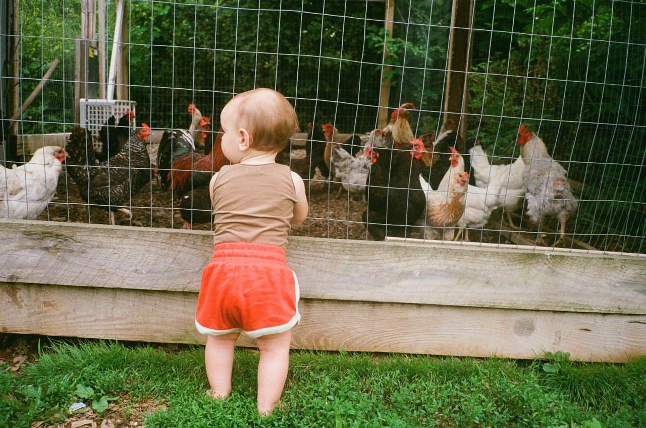 Lomo 400 35mm 2-36 Large.jpeg