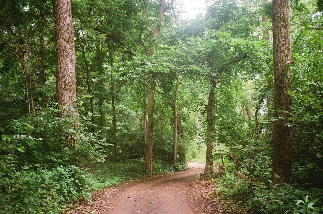 Lomo 400 35mm-15 Large.jpeg