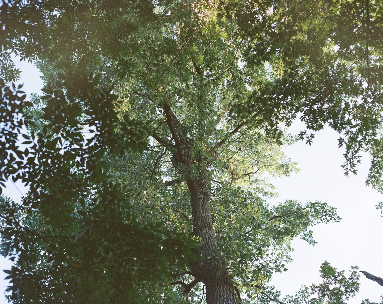 Portra 400 120-3 Large.jpeg
