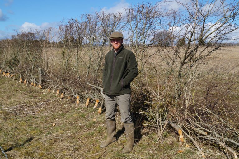By working together, the farming and keepering teams at Peppering have achieved the holy grail of farmland wildlife restoration