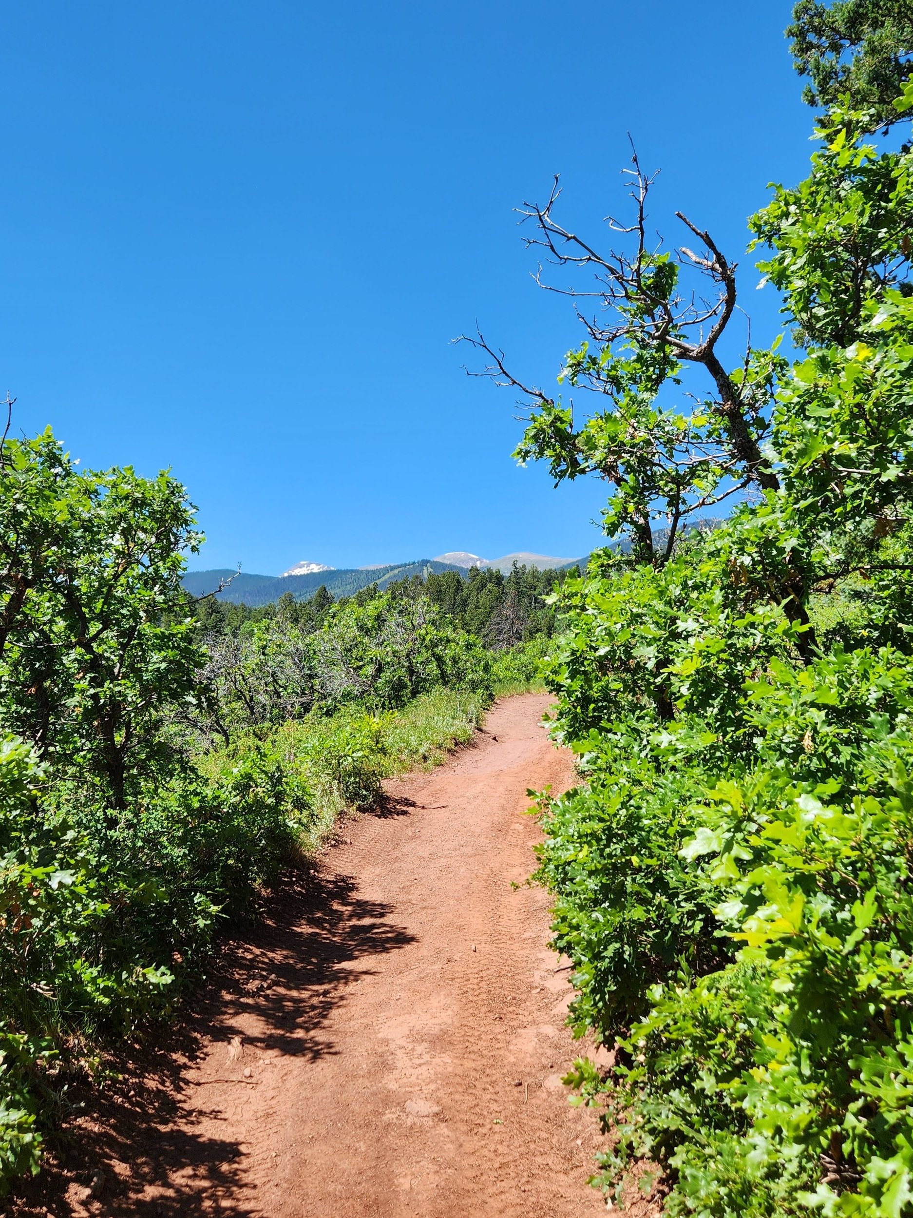 May Trail Work
