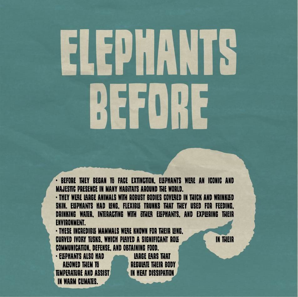 Screenshot 2024-01-14 at 16.04.14.png