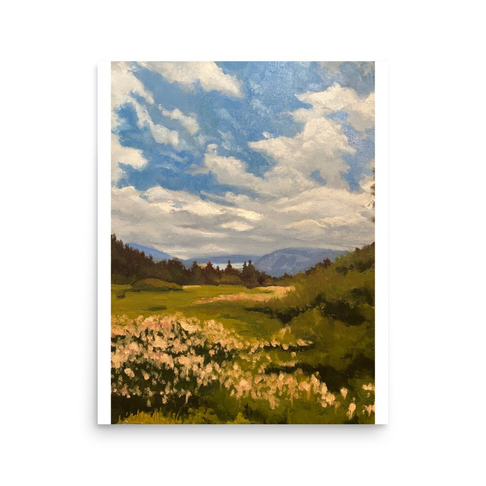 enhanced-matte-paper-poster-(in)-16x20-front-678ebf665e469.jpg
