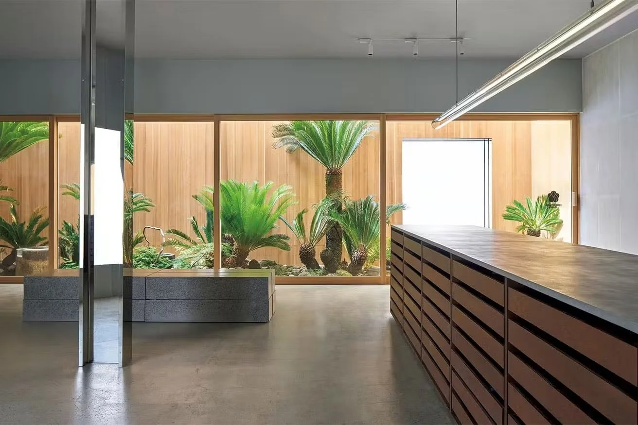 A modern retail store with sleek design and plants