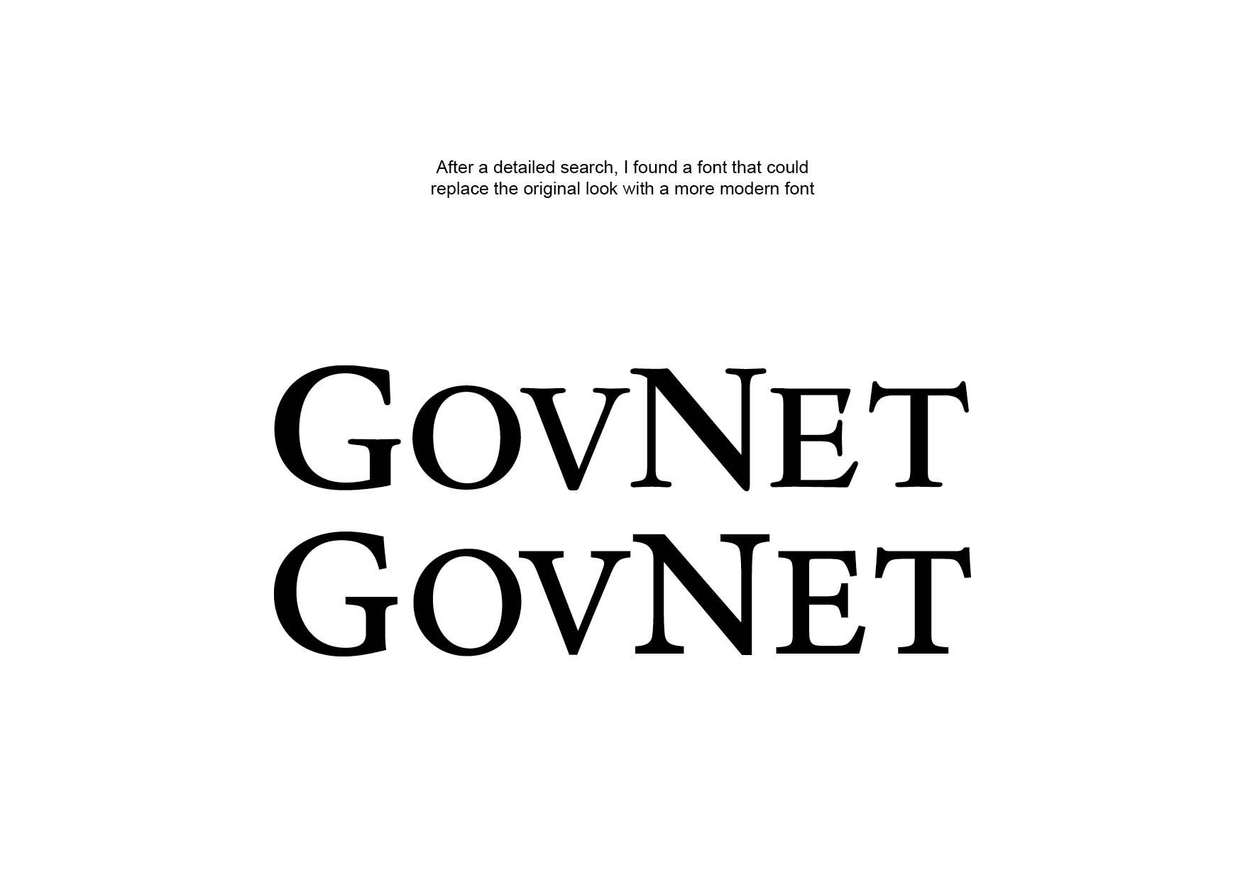 GovNet Brand Identity2.jpg