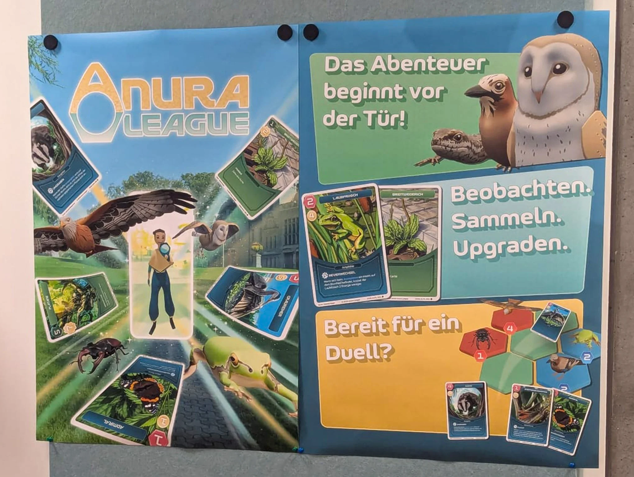 bild4.jpg