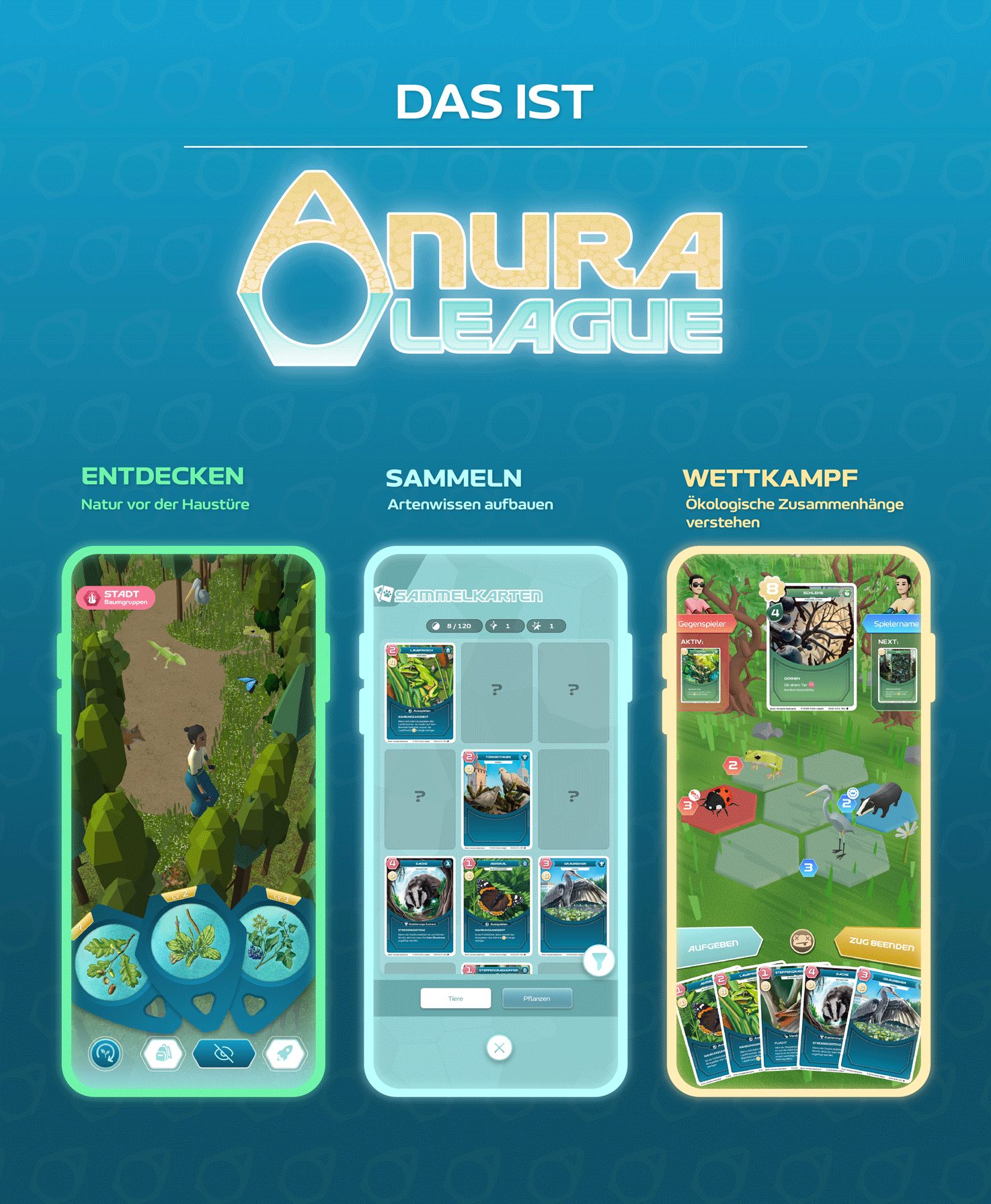Anura-League, Entdecken, Sammeln, Wettkampf