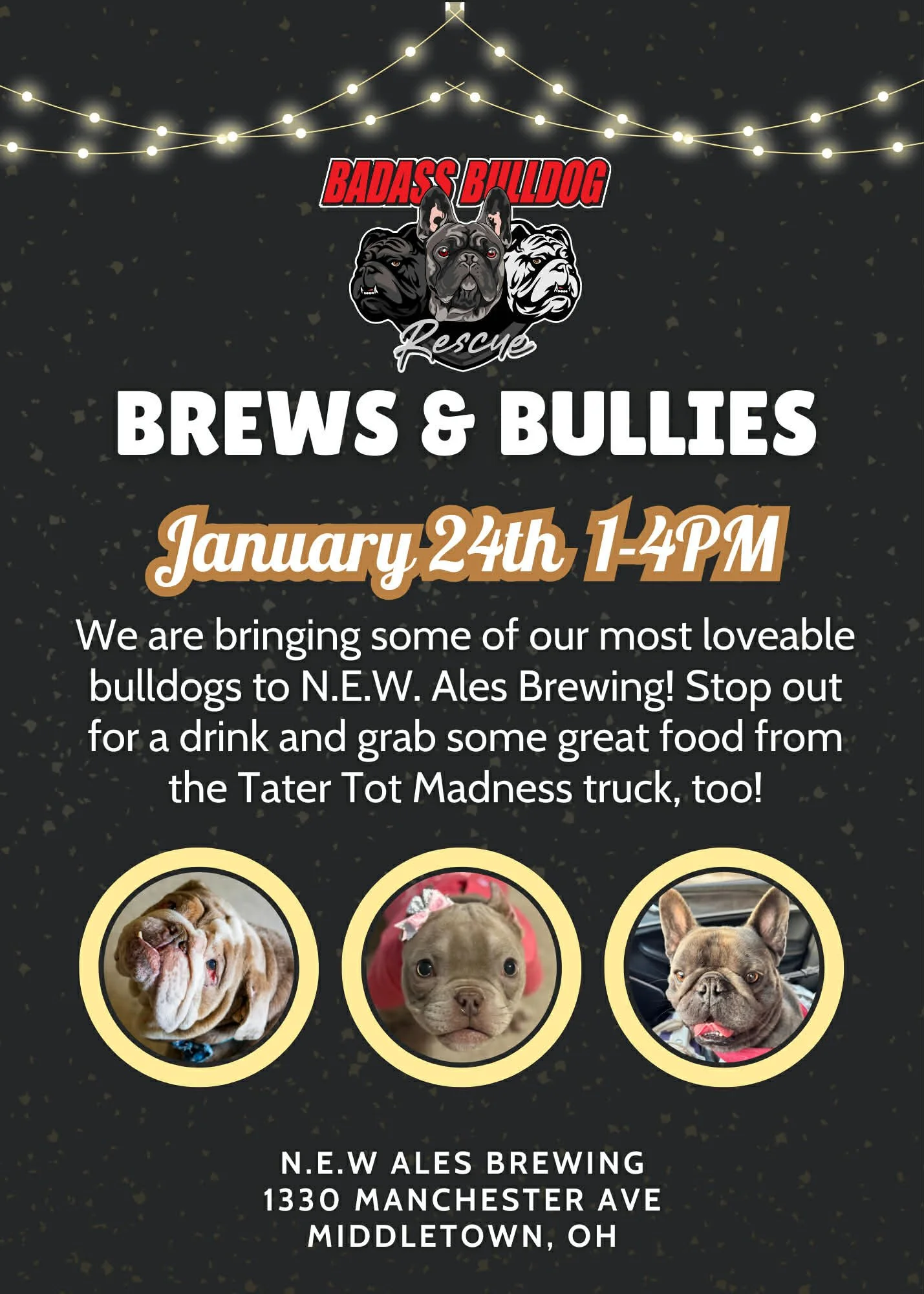 Brews & Bullies at NEW Ales W/ Tater Tot Maddness