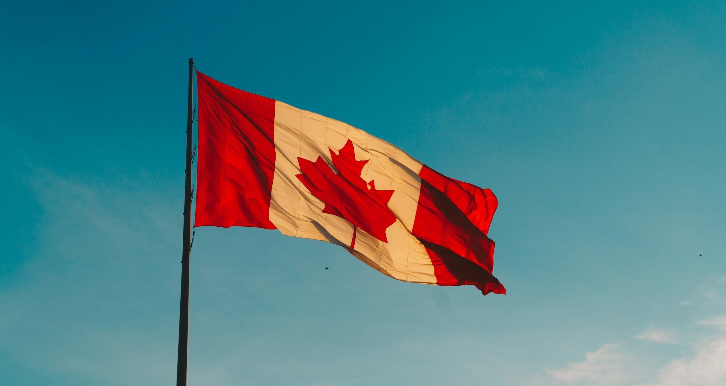 Canadian Friends: Help Make Metabolic Psychiatry a First-Line Treatment