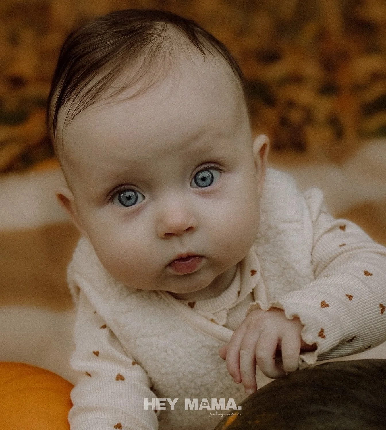 Niet iedereen zit te wachten op een lange fotoshoot.
Misschien je partner niet (😉), of je kind dat na 10 minuten al genoeg heeft van de camera.

Of misschien wil je gewoon een paar mooie foto&rsquo;s, zonder een grote investering of een volle galeri