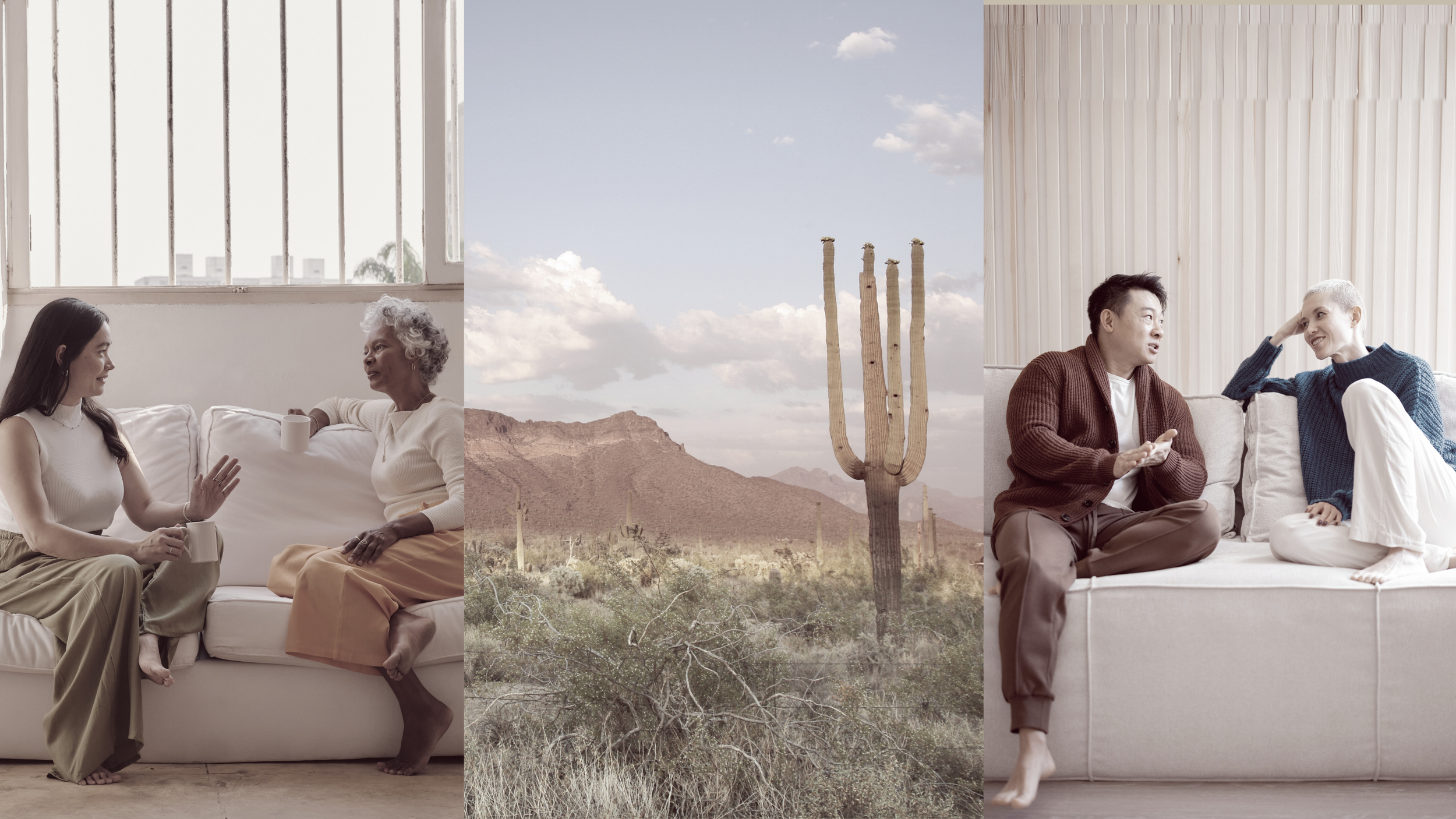 Moonstone Site Images  (26).png