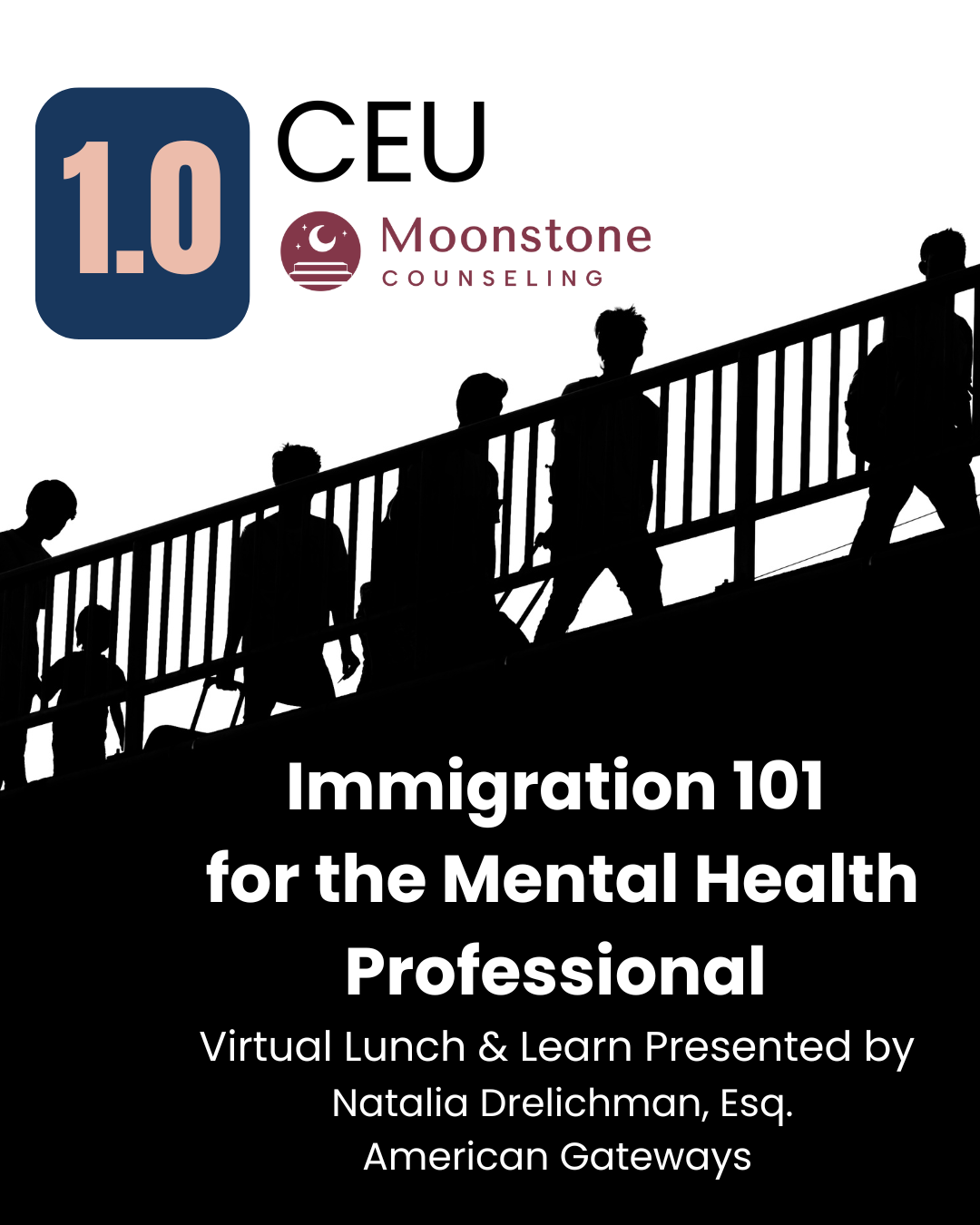 Immigration 101 (1).png