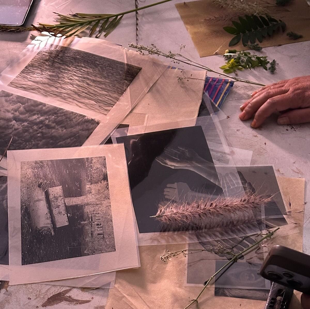 Program Highlights with Pooja Udhwani

We were excited to host Blueprint Stories: Crafting Narratives with Cyanotype, a hands-on workshop led by Pooja Udhwani at Jaipur Art Week 4.0, introducing participants to the art of Cyanotype Printing.

Over 3.