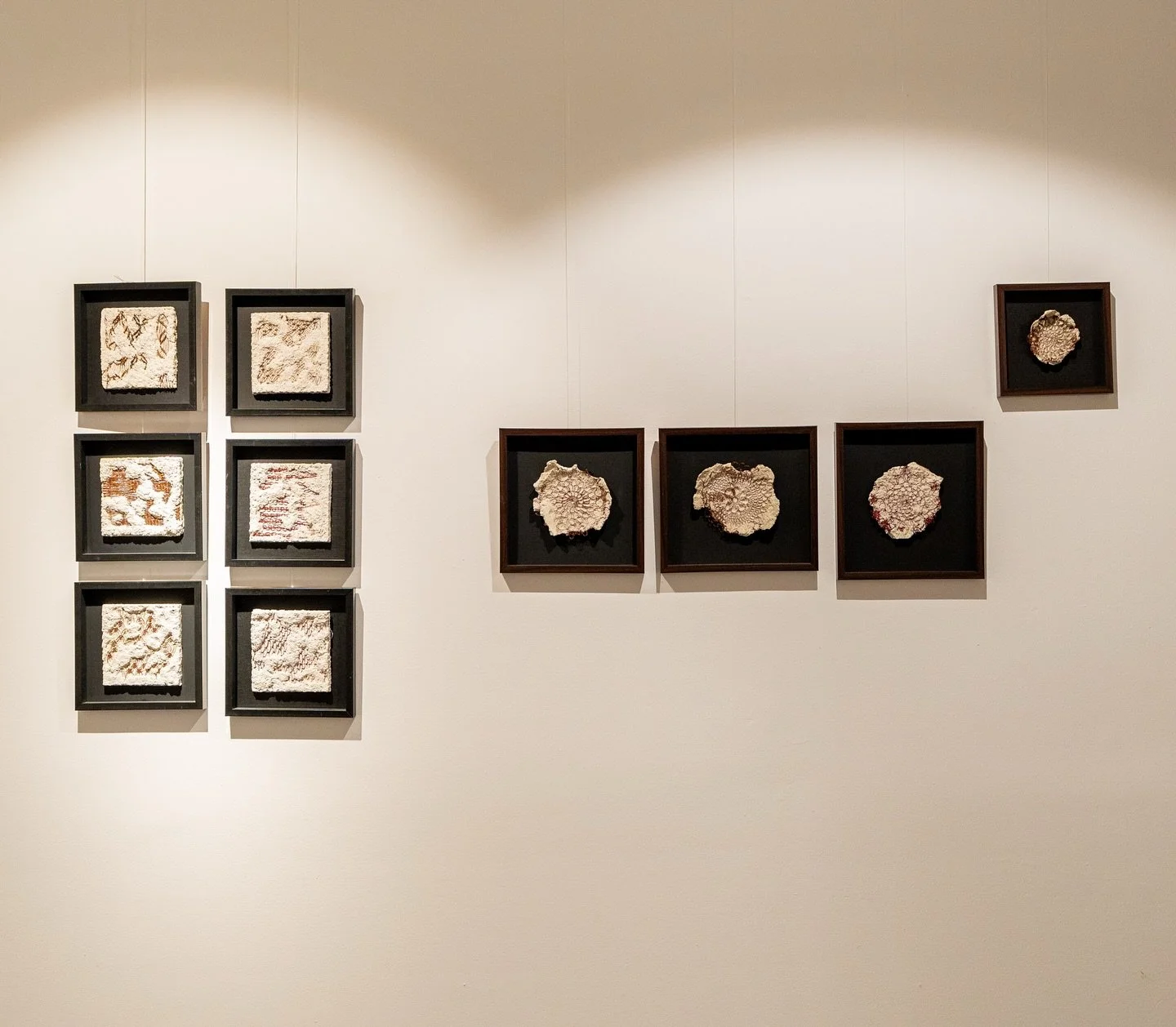 Jaipur Art Week 4.0 | Surekha Gallery, Jawahar Kala Kendra
Rajani Arya, Echoes of Transformation (2025)
In the contemplative setting of Surekha Gallery at Jawahar Kala Kendra, Rajani Arya’s Echoes of Transformation unfolds as a meditation on t