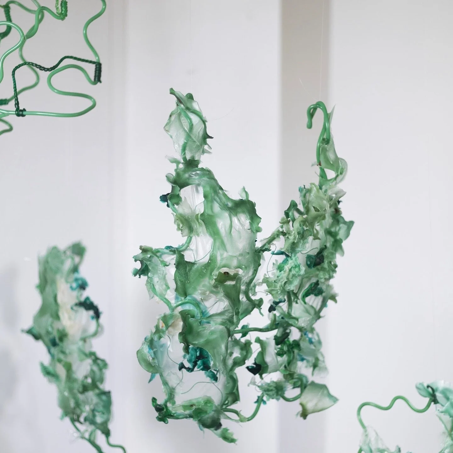 We are excited to announce Riya Bhagat as an exhibiting artist in the Group Show at Jaipur Art Week 5.0, scheduled from January 27th to February 3rd, 2026.

Riya Bhagat is an experiential designer and multimedia artist whose practice explores care as