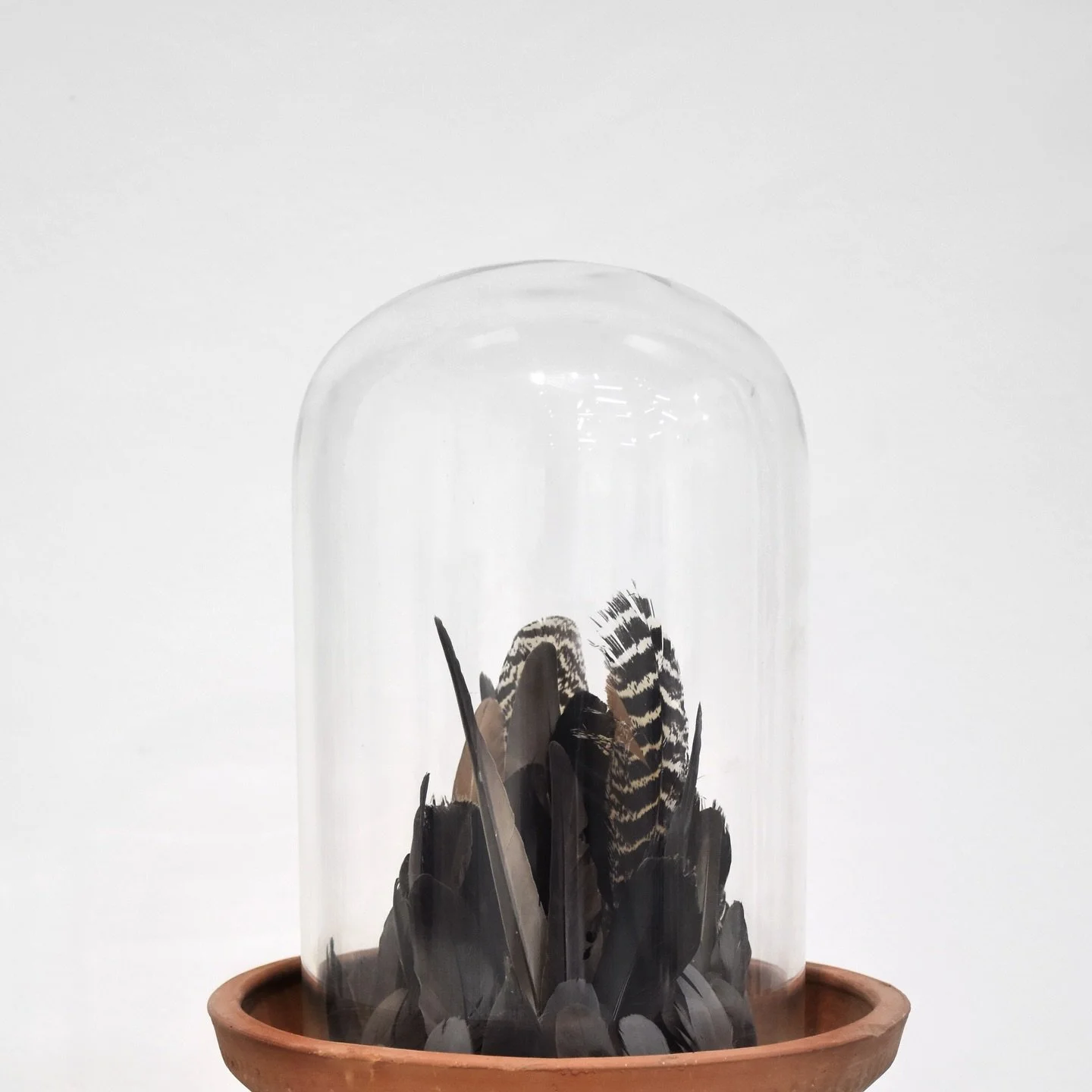 We are excited to announce Ayantika Sajwal as one of the exhibiting artists in the Group Show at Jaipur Art Week 5.0, scheduled from January 27th to February 3rd, 2026.

Born in West Bengal and currently based in Baroda, Ayantika is a visual artist w