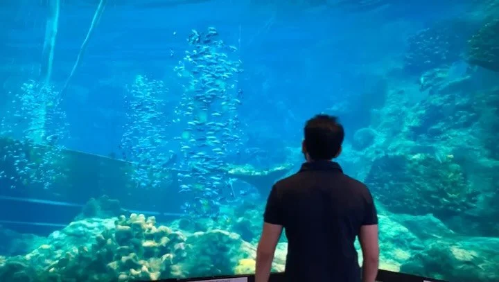 We&rsquo;re excited to announce Karan Parikh of Green Rain Studios as part of the digital exhibition Here and Now at Jaipur Art Week 5.0, taking place from 27 January to 3 February 2026, in collaboration with World Builder (@worldbuilderindia).

Pari