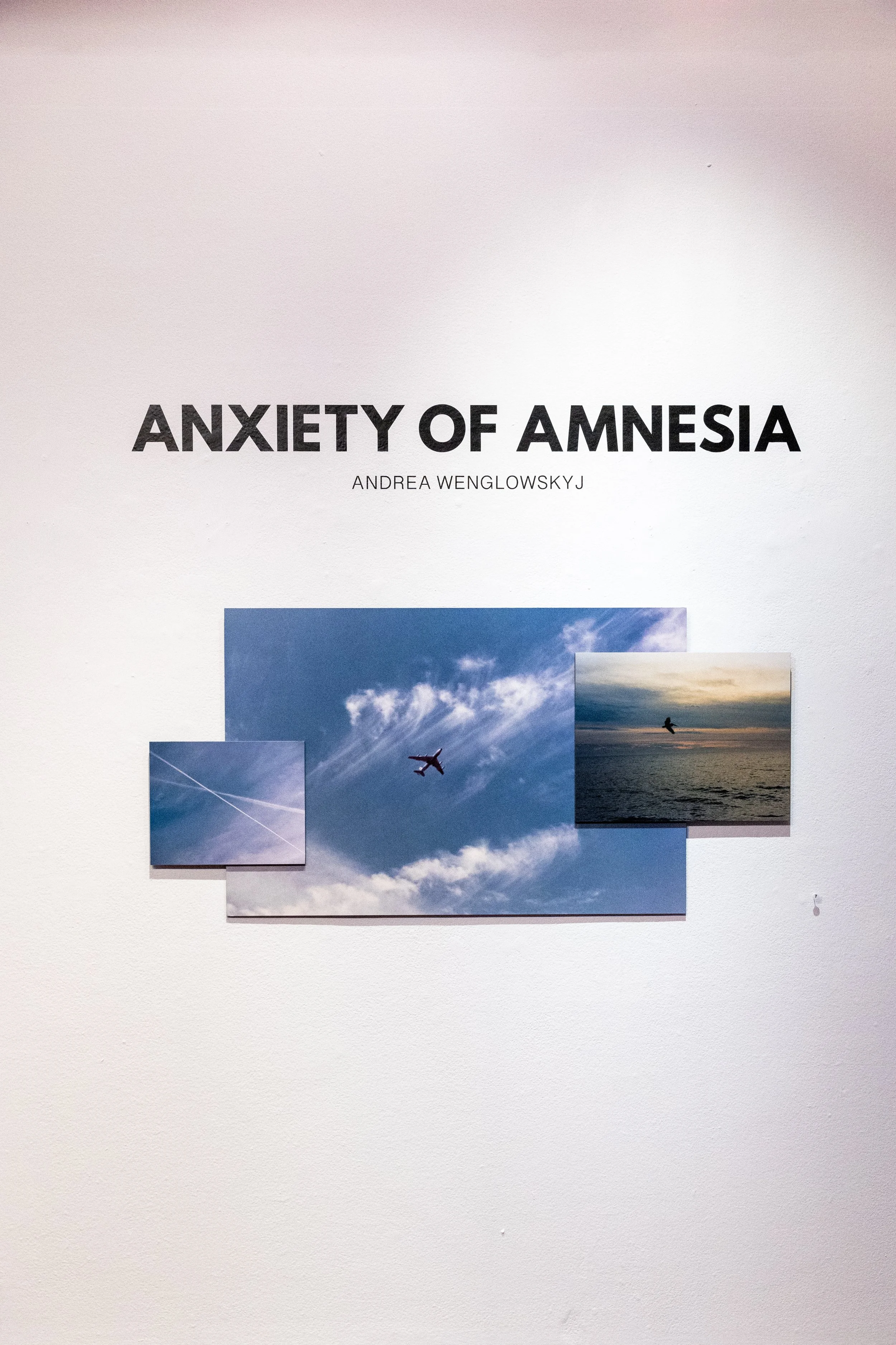 AnxietyofAmnesia-Install-Fall-2025-Wenglowskyj-001.jpg