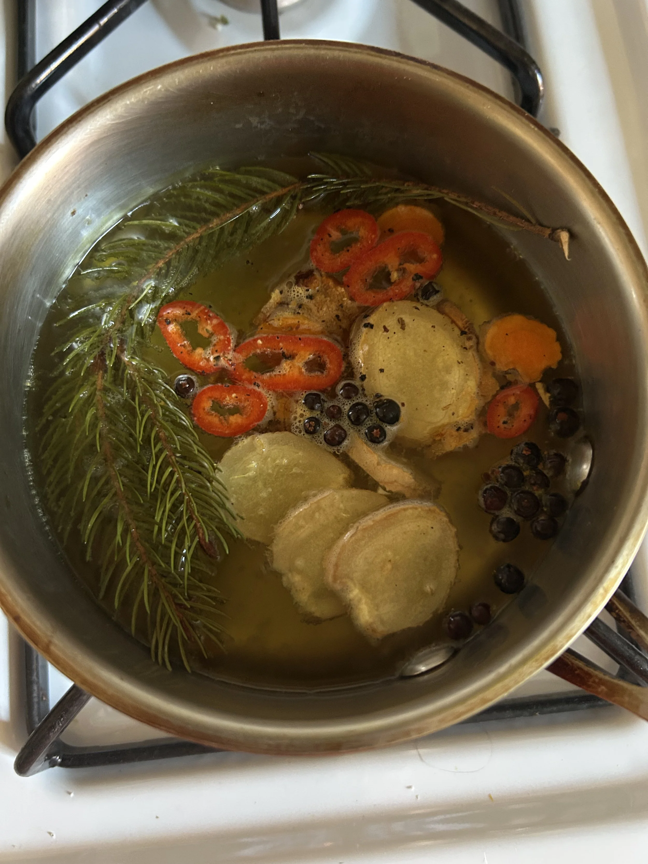 White Pine Tea, Immunity Fortifier