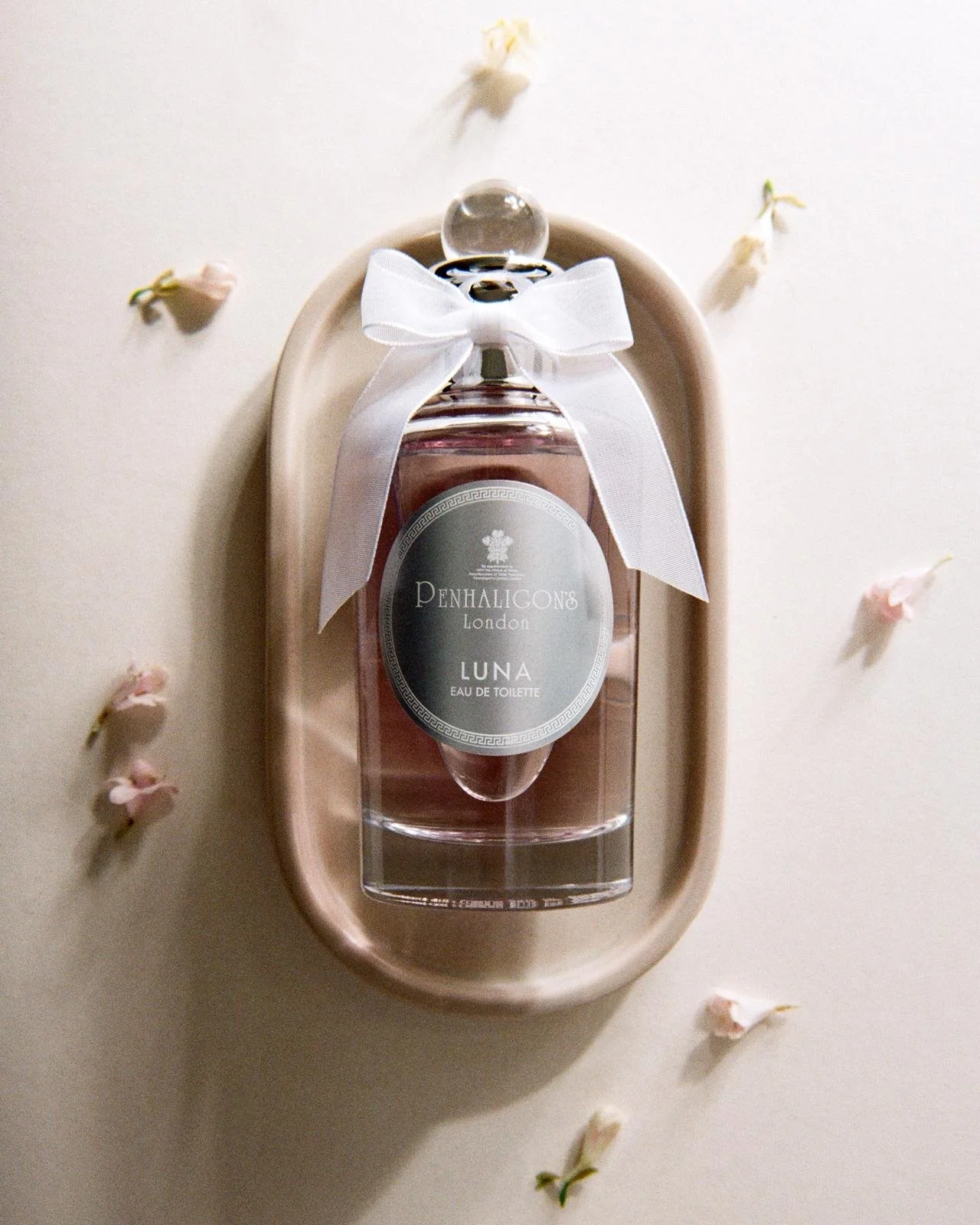 WhatsApp Image 2026-02-06 at 14.14.40.jpeg