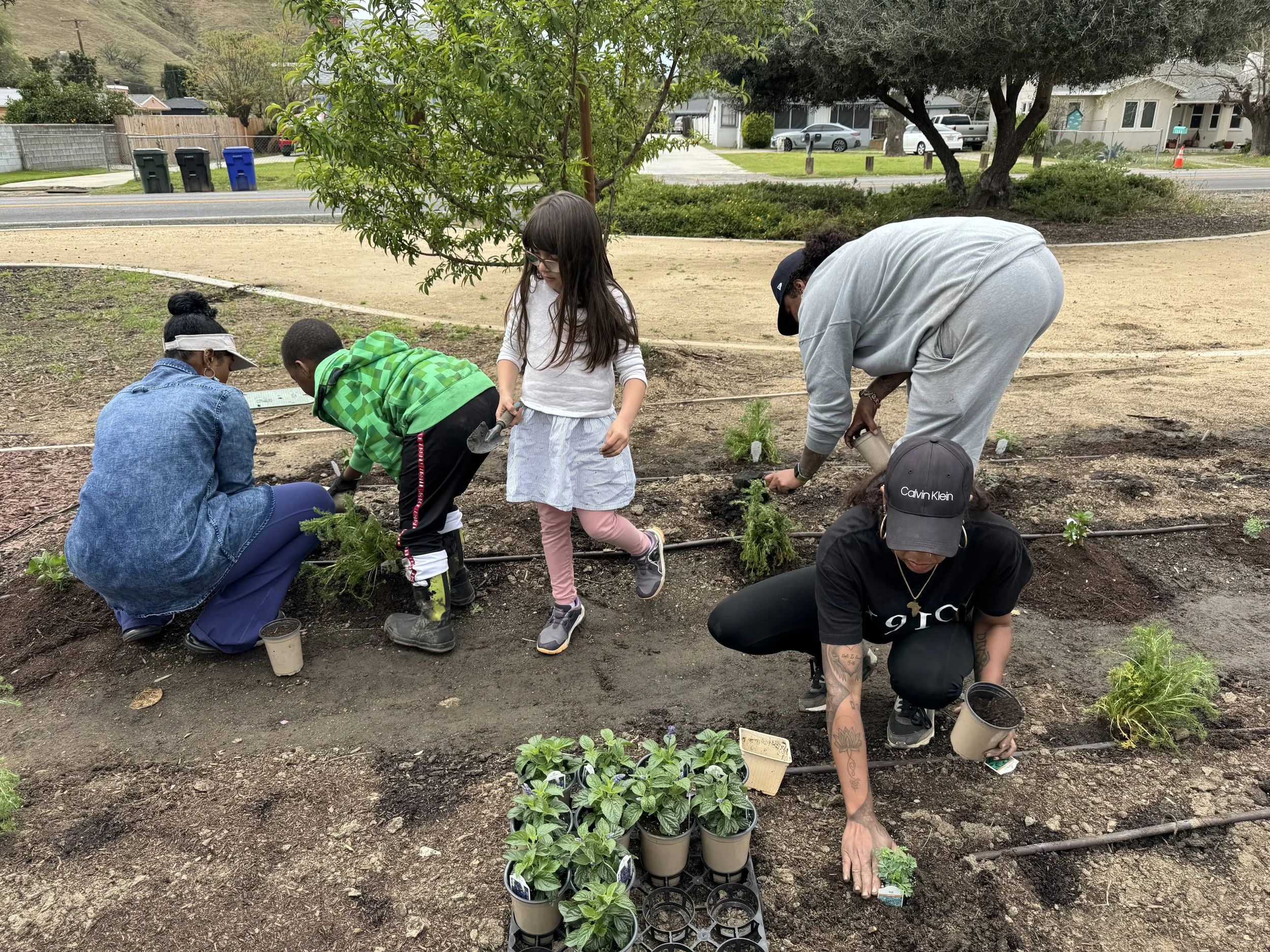 Know Your Roots Workshop 