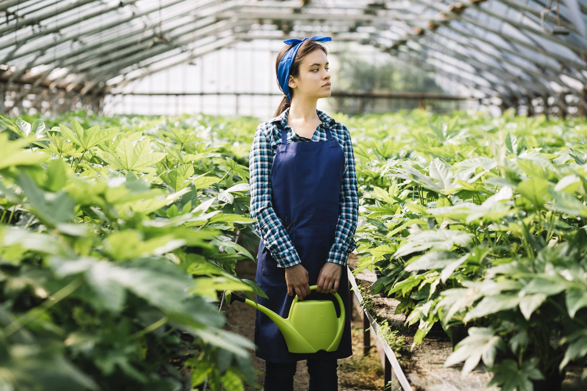 A young woman in a blue apron and checked shirt holding a green watering can in a greenhouse surrounded by lush green plants.