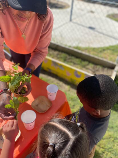 Untitled design (26).png