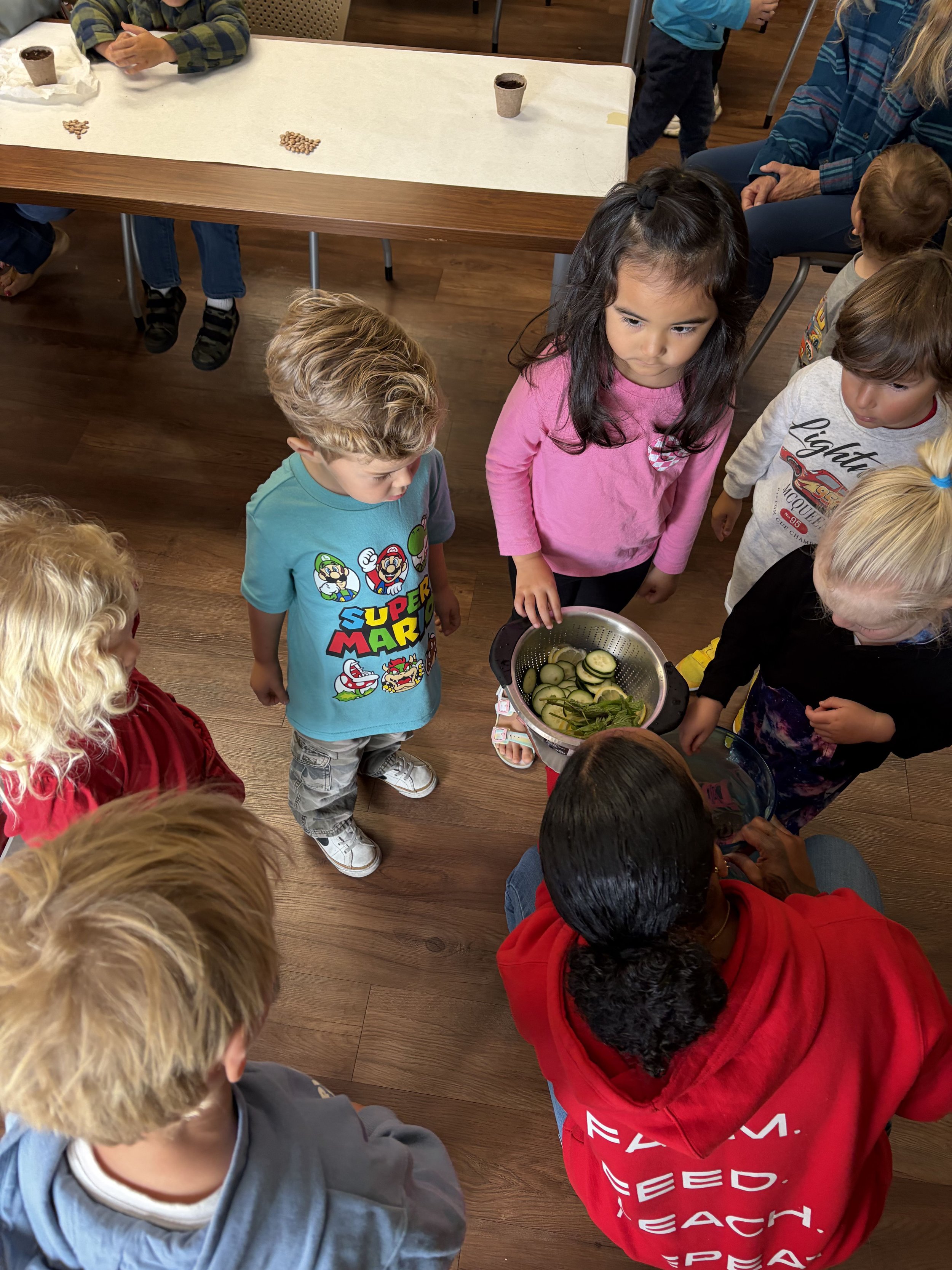 Impact Overview | Empower Communities Today — Soulful Soil Farms