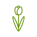 Simple drawing of a tulip flower in black and green.