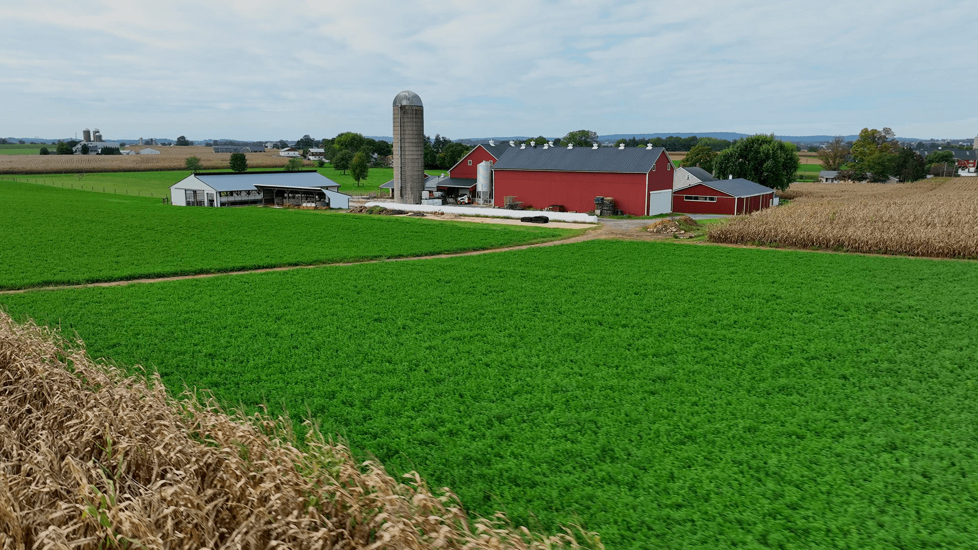 Home Video Banner.png