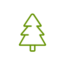 Outline of a Christmas tree in green.