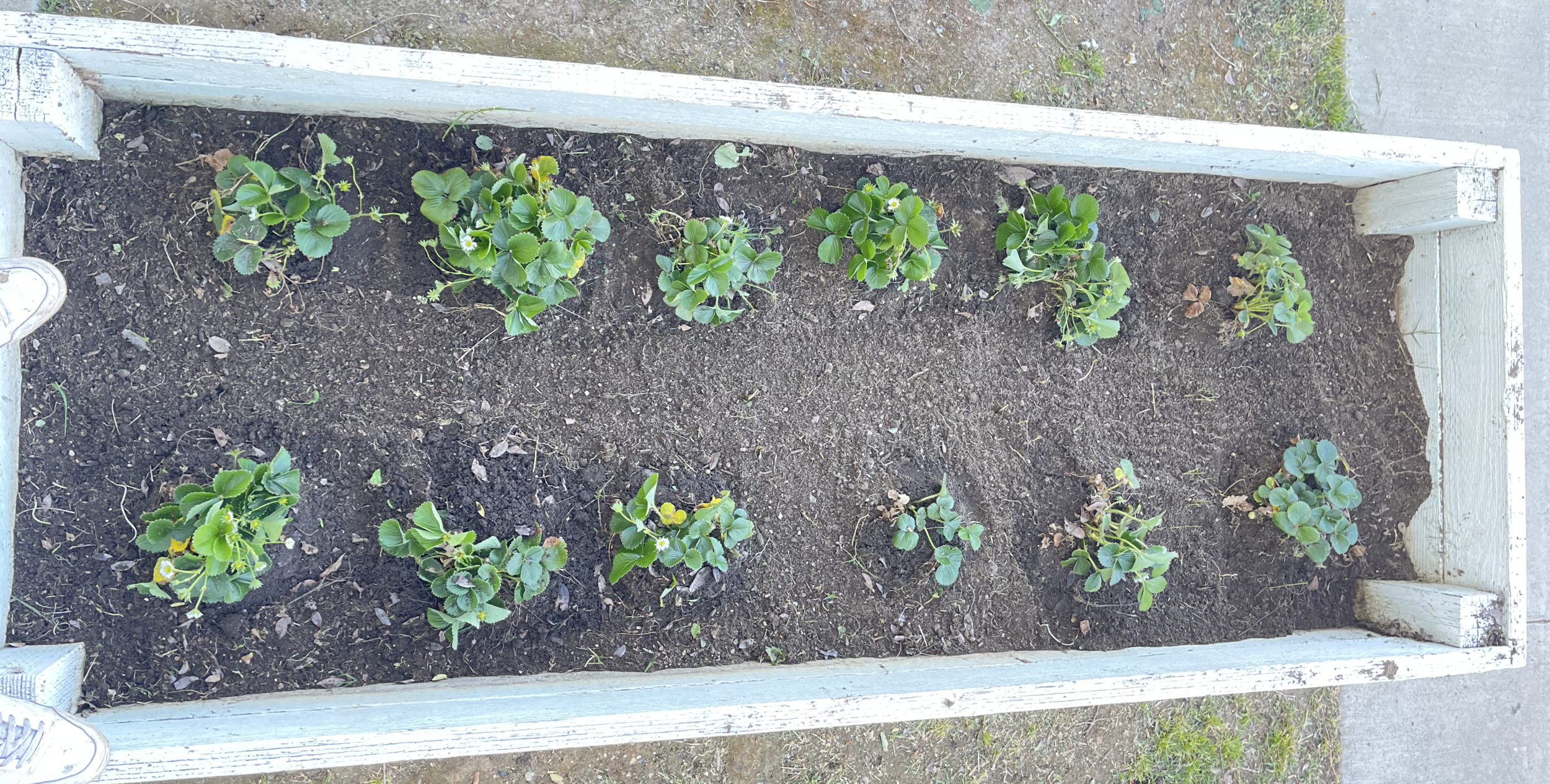 Impact Overview | Empower Communities Today — Soulful Soil Farms