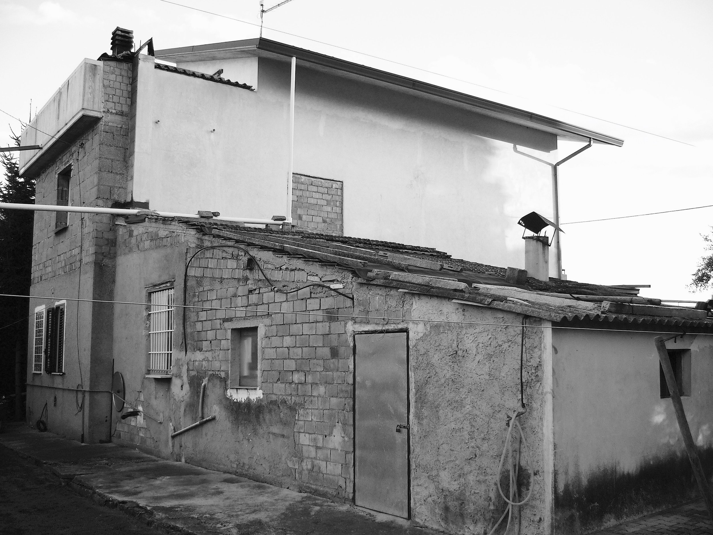P1010643.jpg