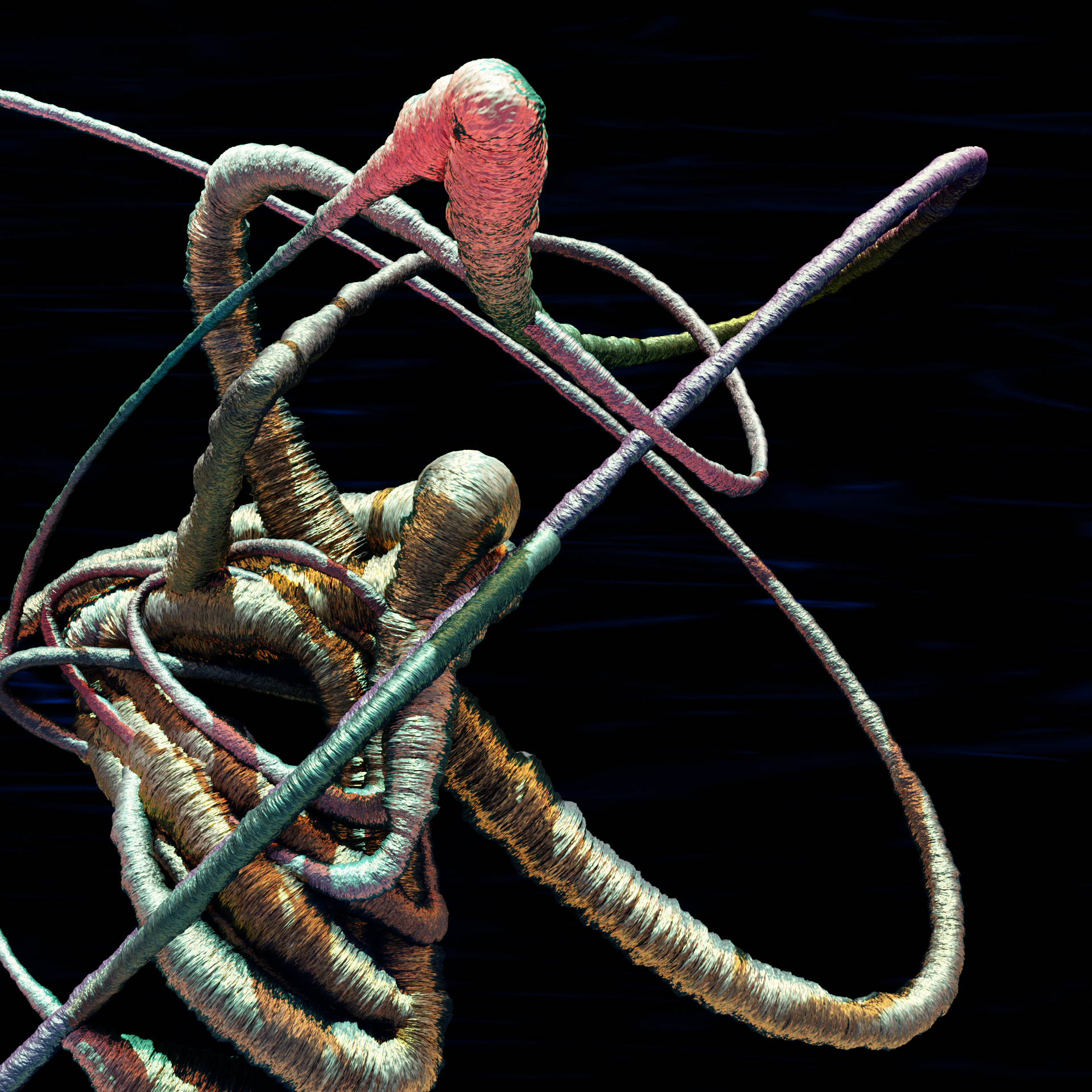 9DHyperchaos_B.png