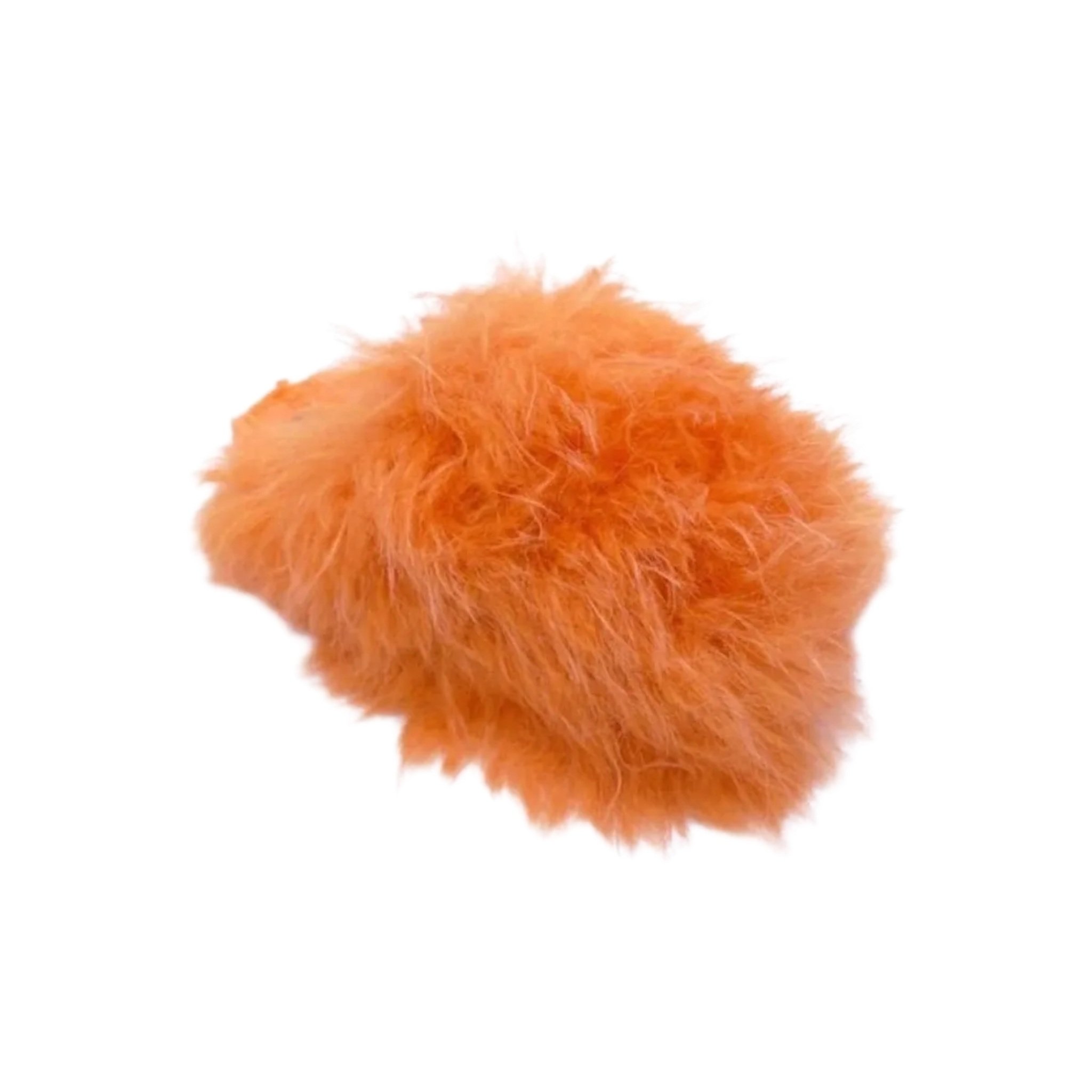 ARIANA+ORANGE+PNG.jpg
