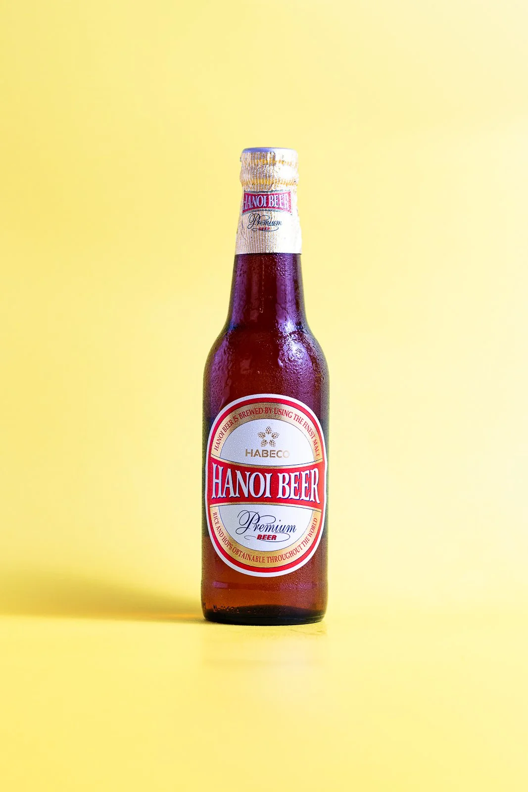 deliciois pho-1-2.jpg