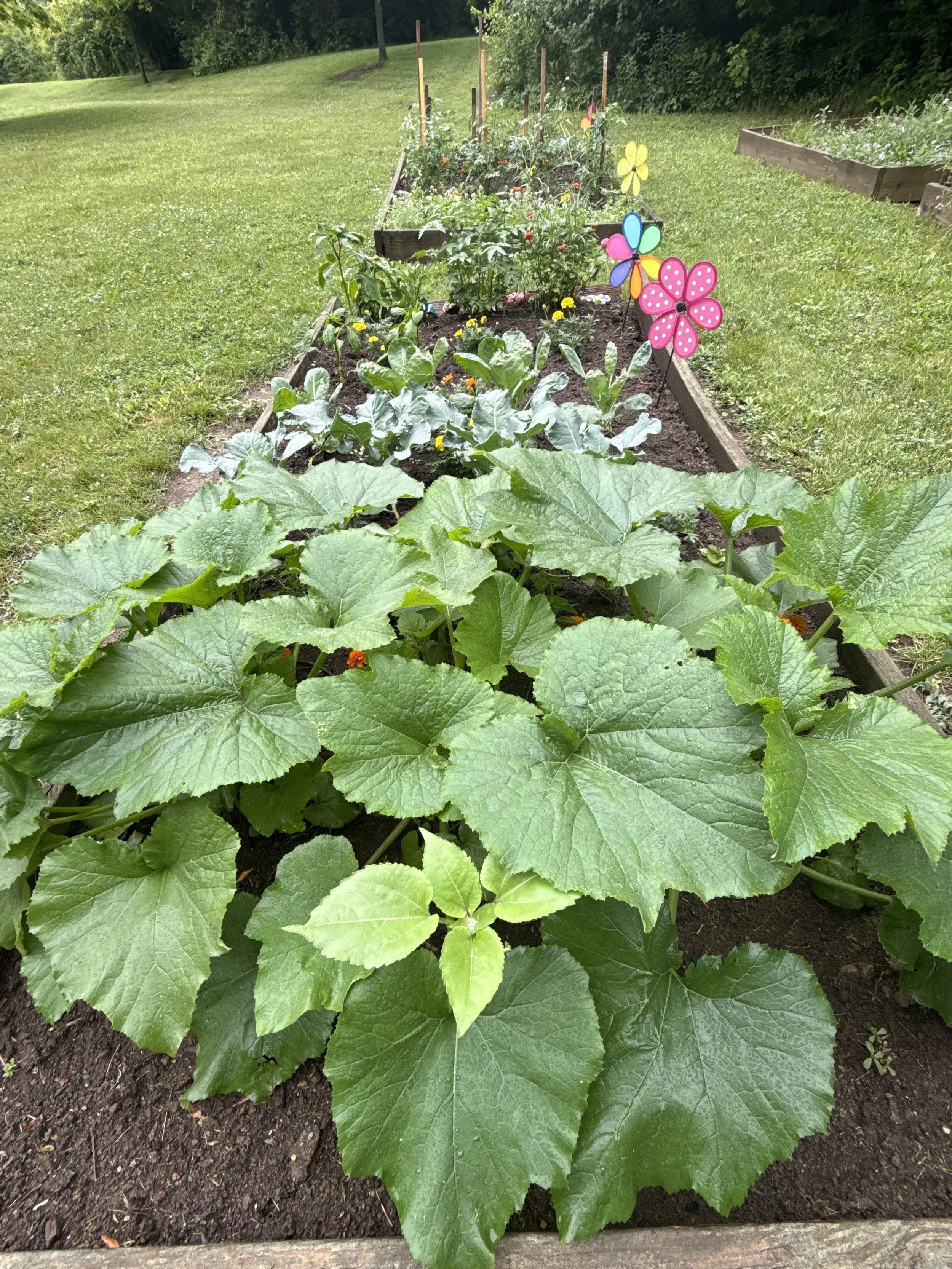 Spring &amp; Summer Wellness Group Continues to Bloom at Annie's Outreach Center