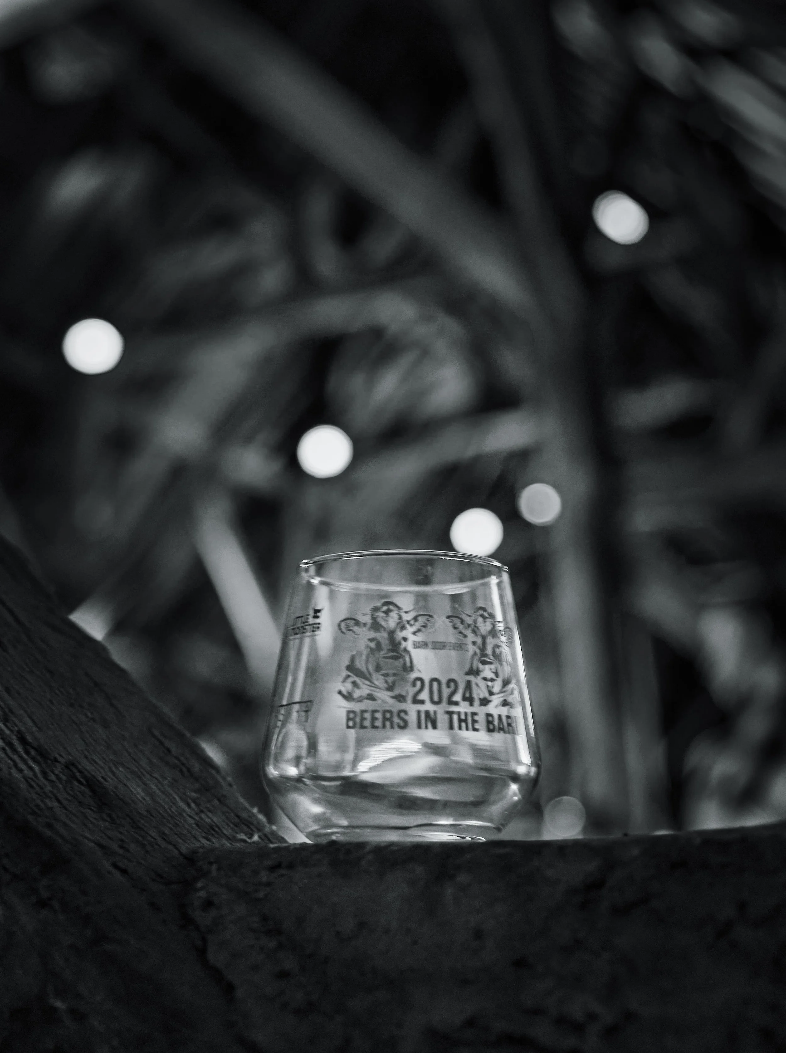Beer Festival 31.jpg