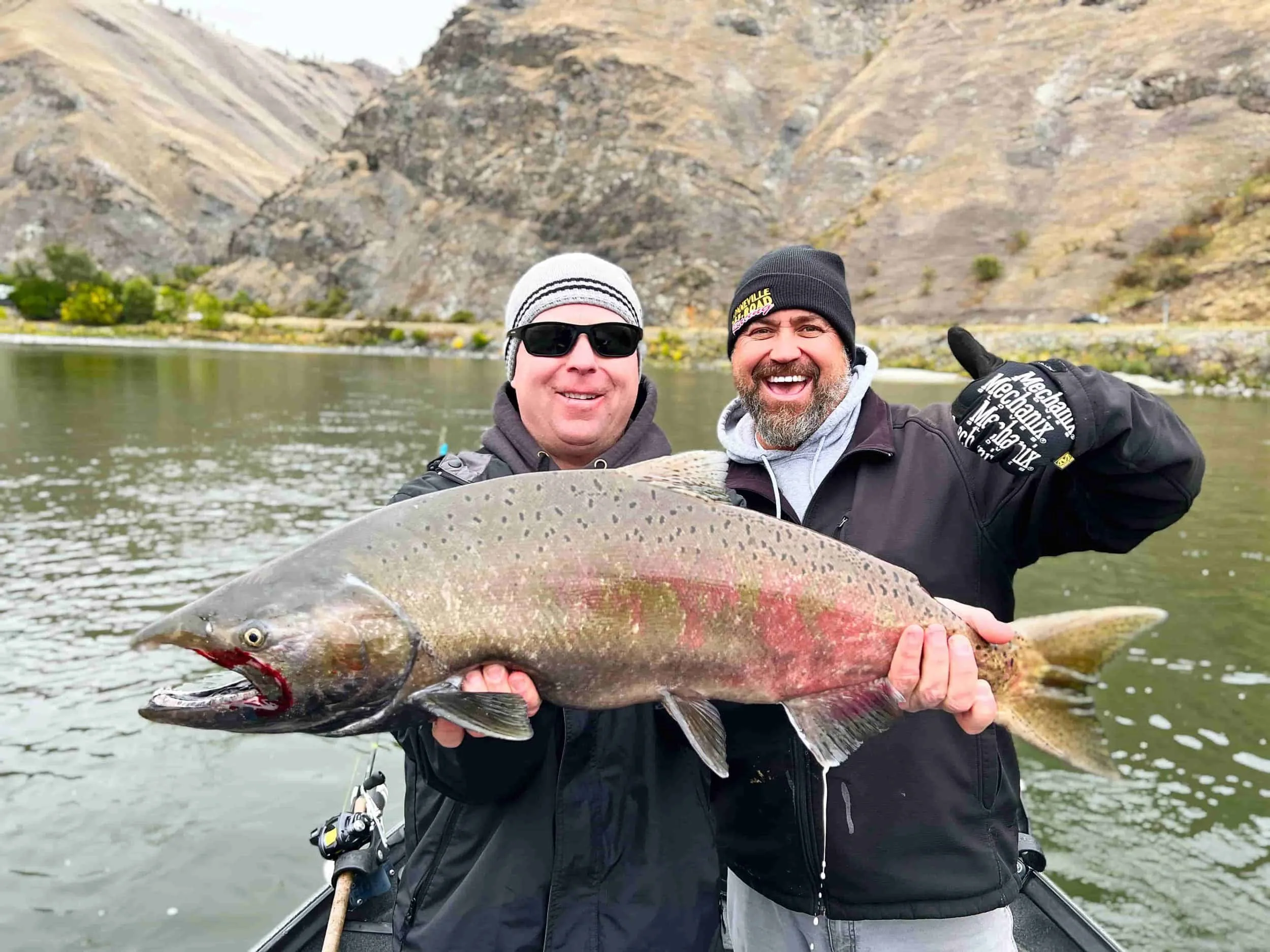 B Run upriver bright Fall chinook
