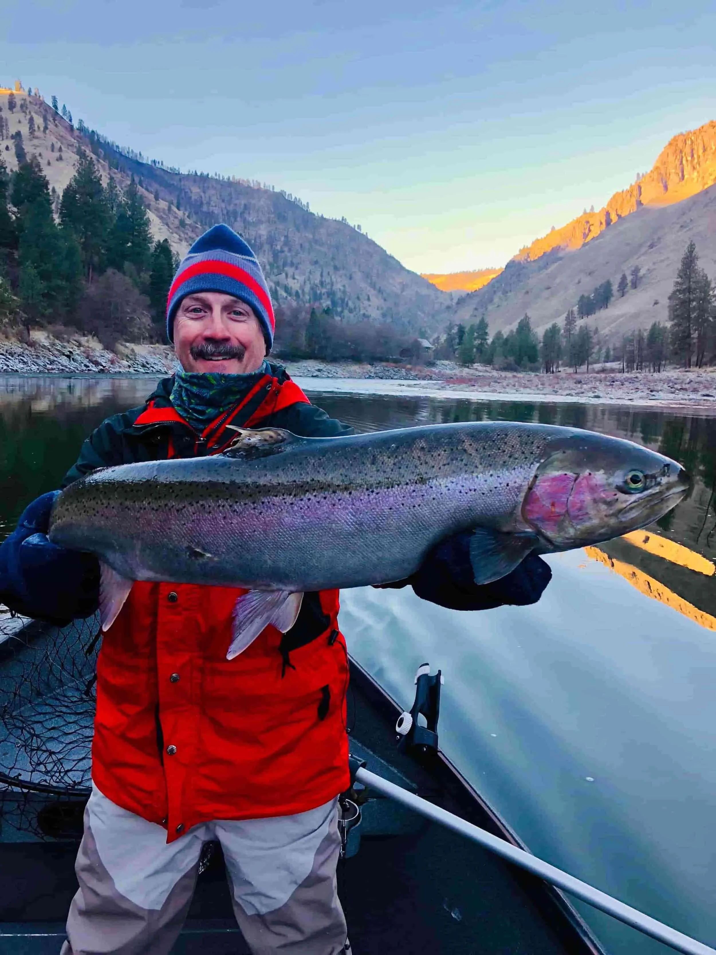 B Run Hatchery Salmon River Steelhead