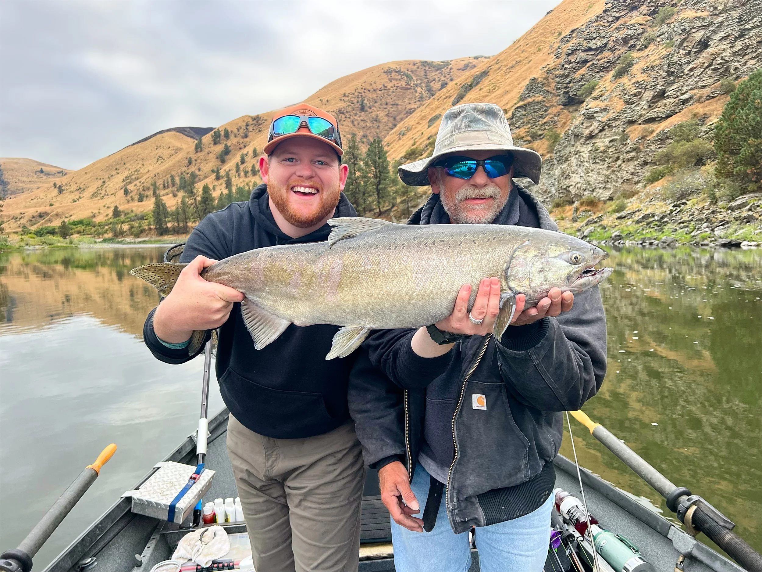 A big Salmon River Fall Chinook Salmon
