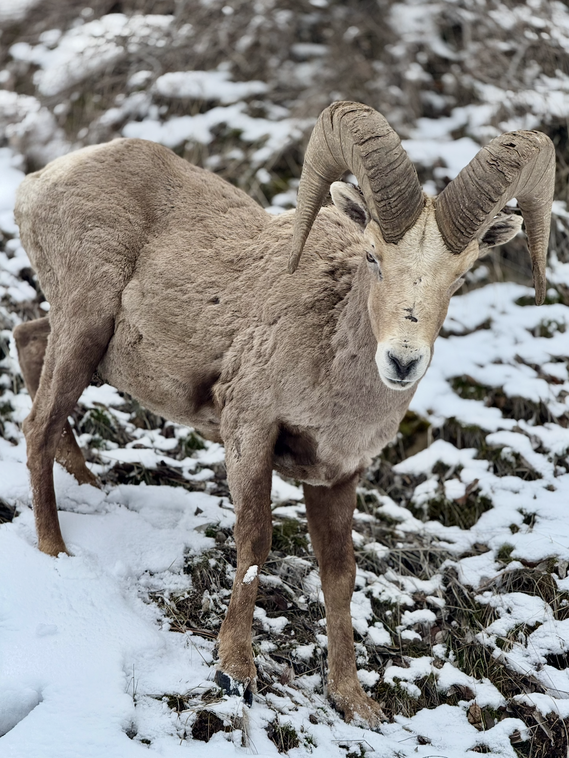 Screenshot 2026-02-06 at 9.41.06 AM.png