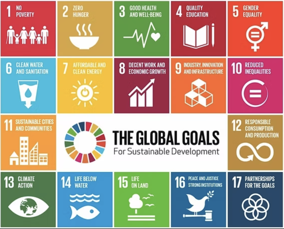 The Sustainable Development Goals: Guiding Stones, Not Just Global Ideals